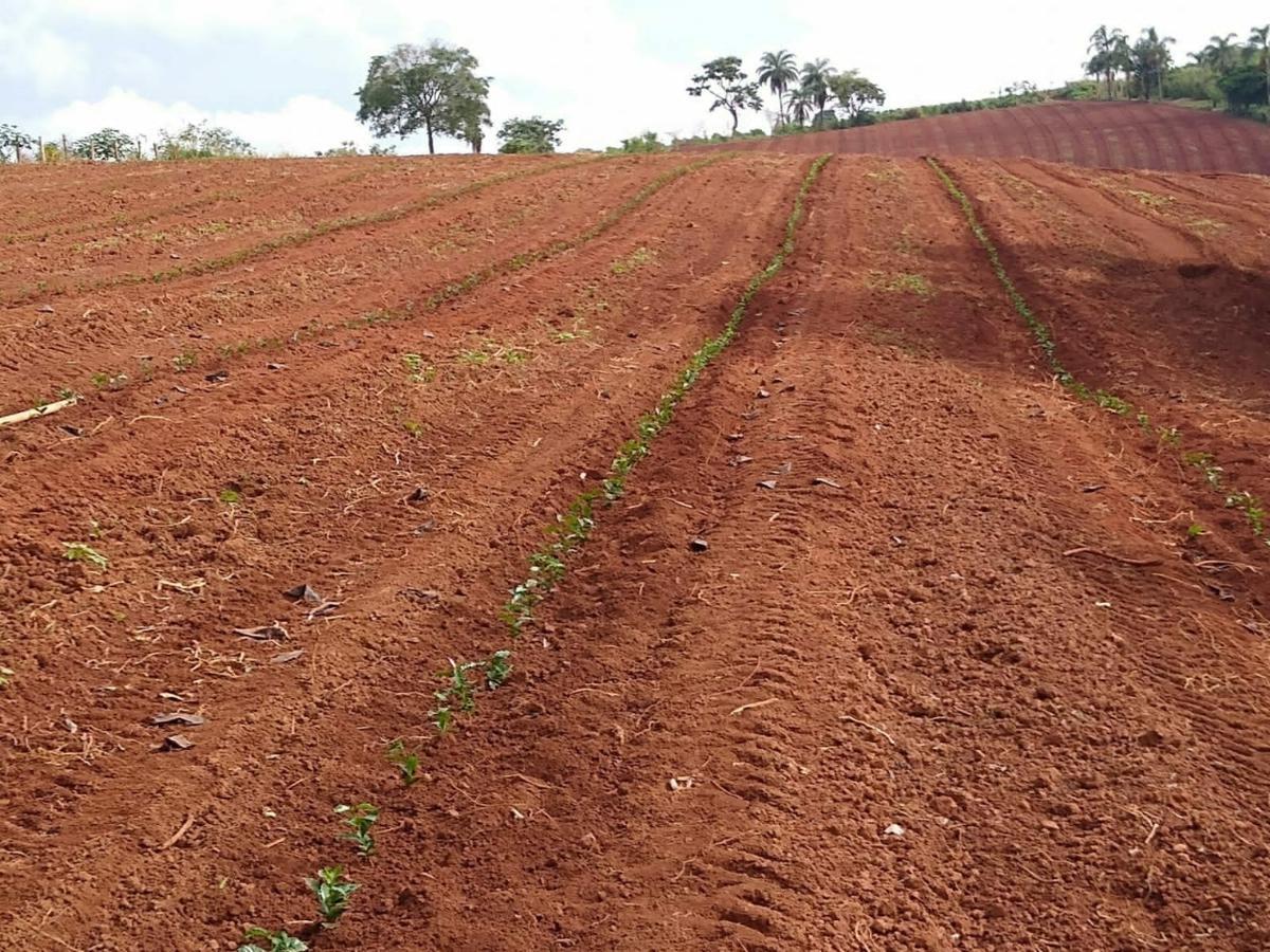 Fazenda, Zona Rural, 3 Quartos, 3 Vagas