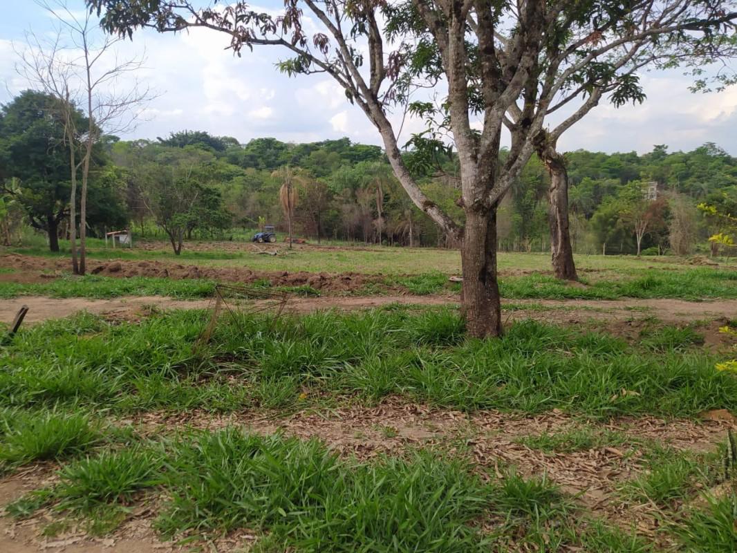 Lote, Bandeirinhas, 0 Quarto, 10 Vagas