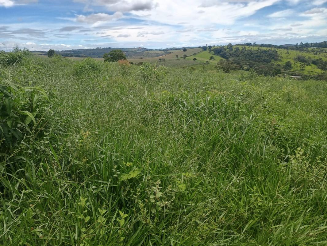 Fazenda, Zona Rural, 0 Quarto, 0 Vaga