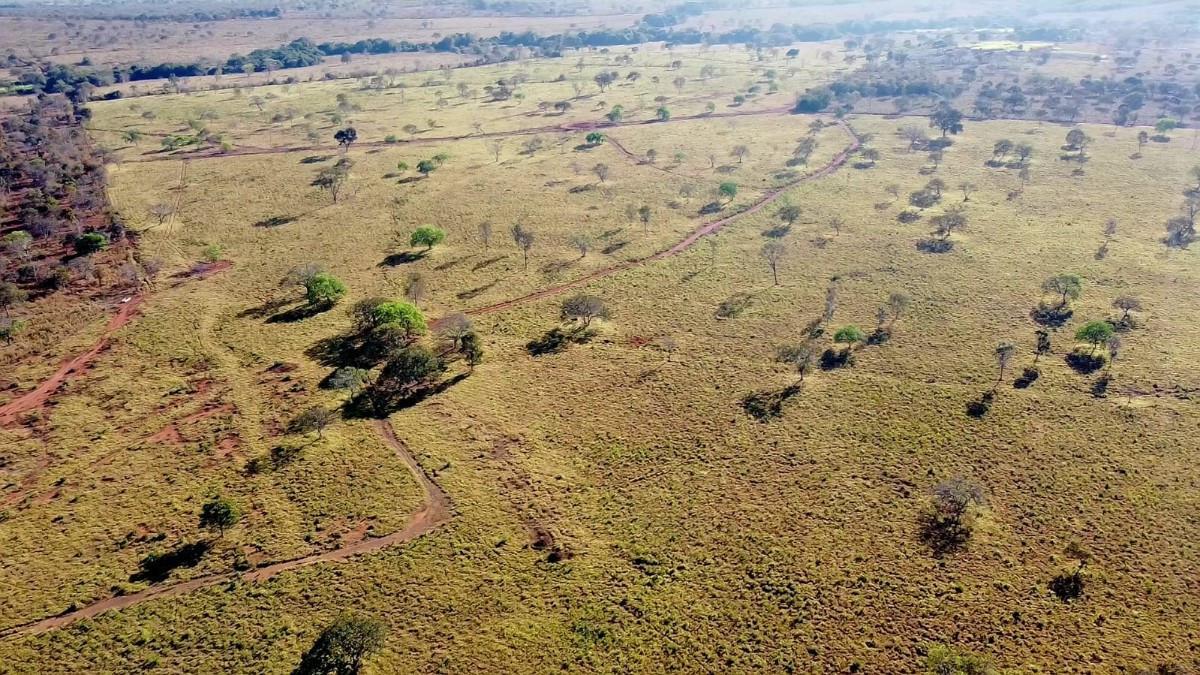 Fazenda, Zona Rural, 0 Quarto, 0 Vaga, 5 Suítes