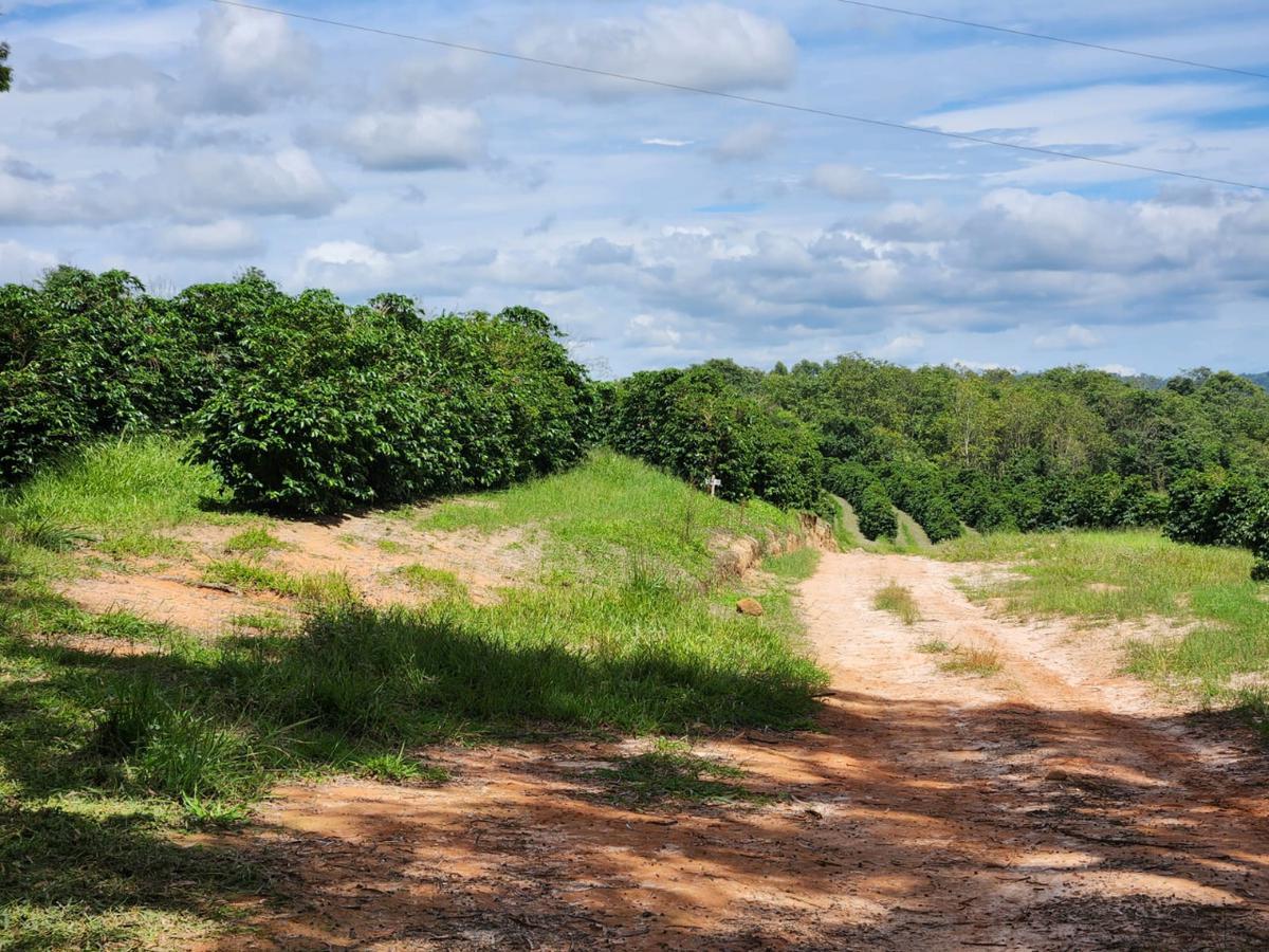 Fazenda, Zona Rural, 3 Quartos, 3 Vagas