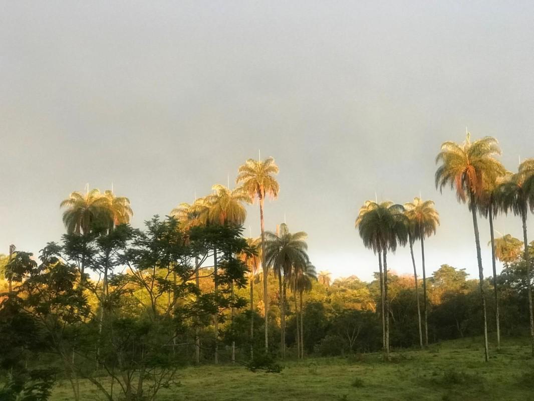 Lote, Bandeirinhas, 3 Quartos, 10 Vagas