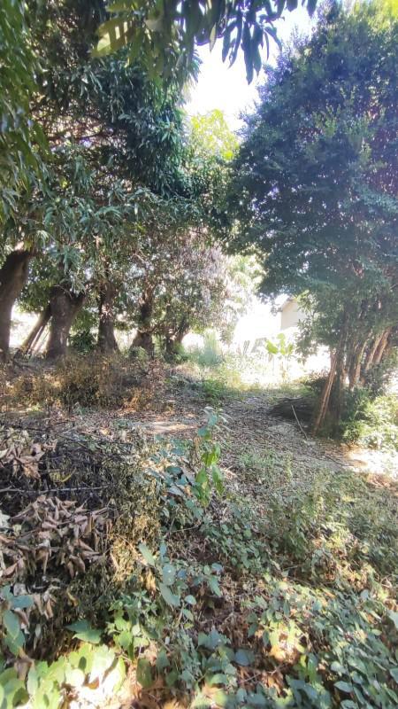 Lote, Novo Progresso, 0 Quarto, 0 Vaga