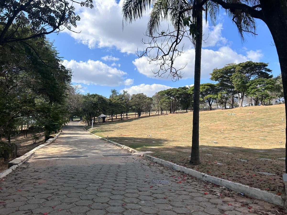 Andar, Nova Cintra, 0 Quarto, 0 Vaga