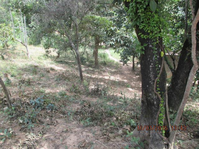 Lote, Centro