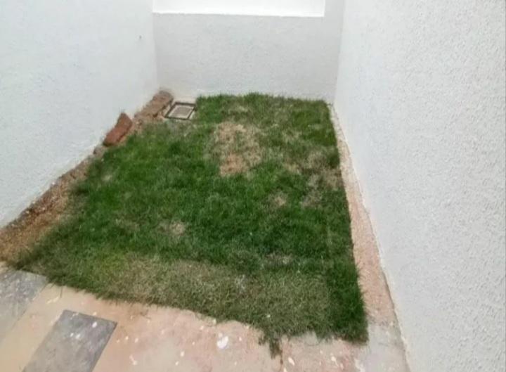 Casa, Floramar, 2 Quartos, 1 Vaga, 1 Suíte
