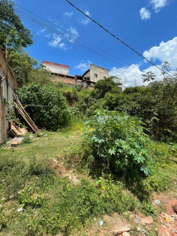 Lote, Vila Francisco de Moura, 0 Quarto, 0 Vaga