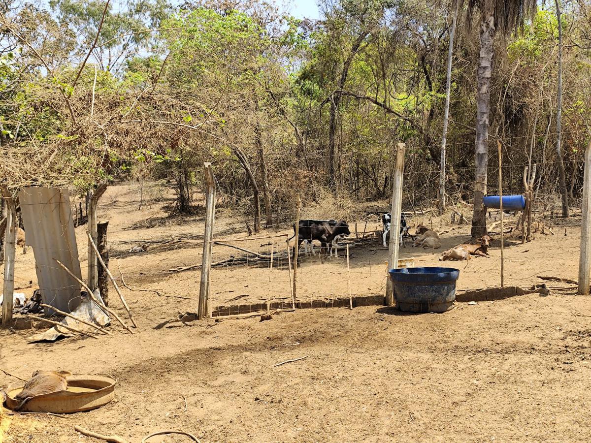 Lote, Jardim Encantado, 0 Quarto, 0 Vaga