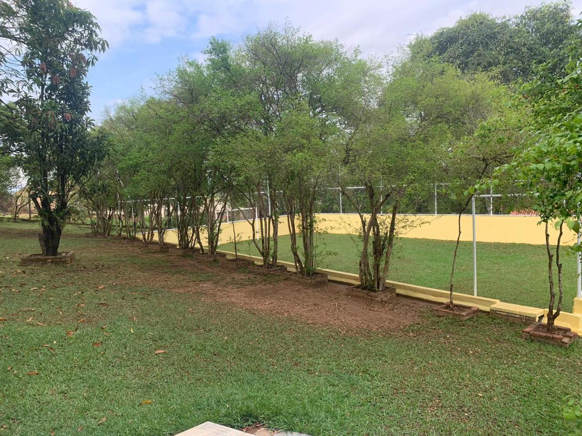 Fazenda, Vianópolis, 4 Quartos, 4 Vagas, 1 Suíte