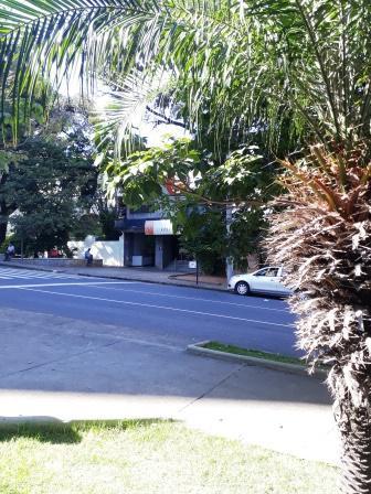 Sala, Floresta, 0 Quarto, 0 Vaga