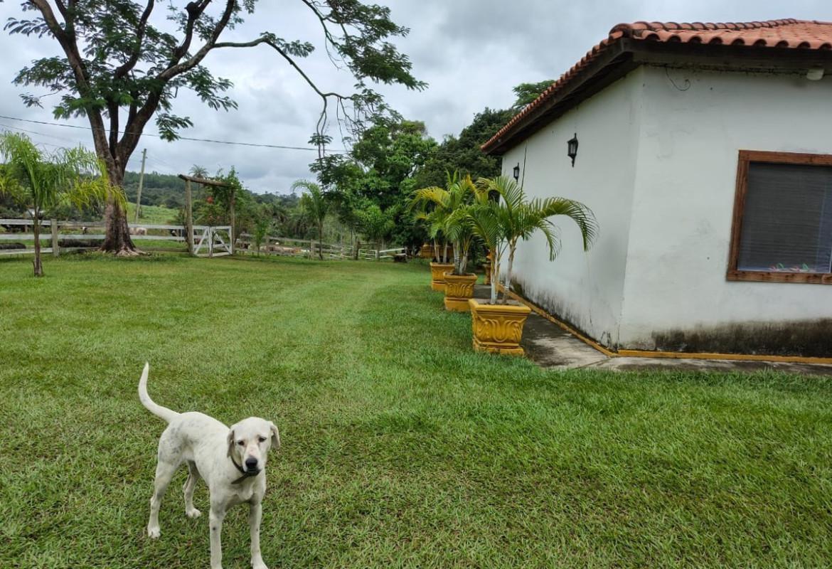 Fazenda, Zona Rural, 5 Quartos, 0 Vaga