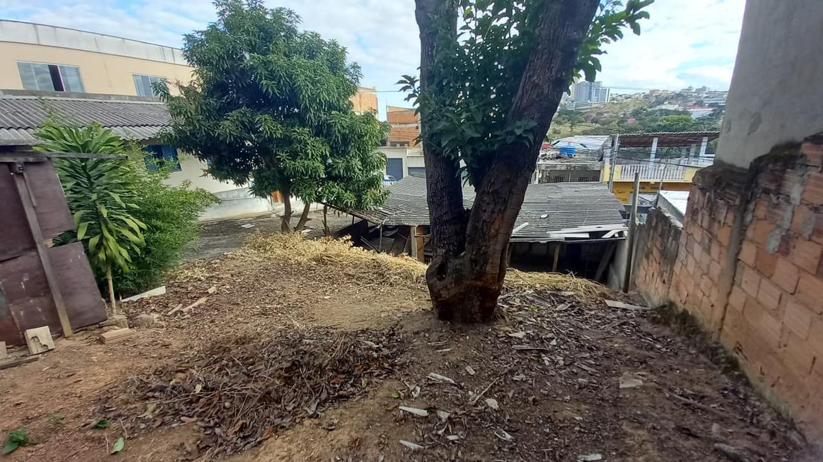 Lote, Aparecida, 0 Quarto, 0 Vaga