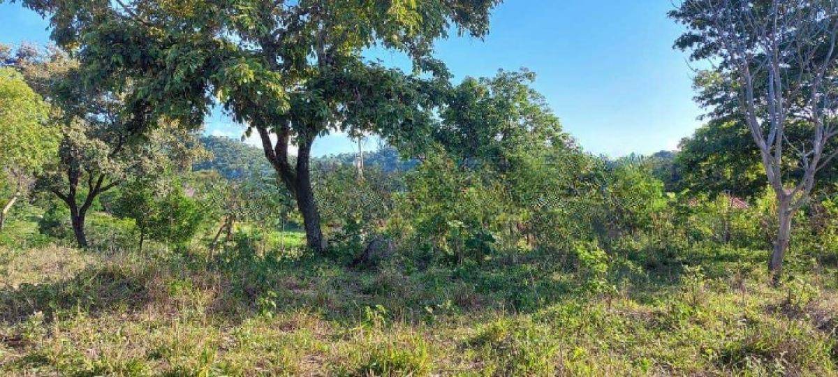 Fazenda, Area Rural de Santa Luzia, 0 Quarto, 0 Vaga
