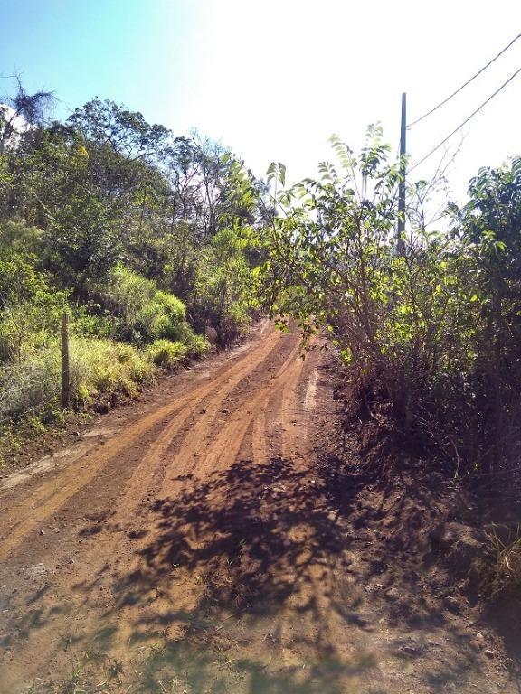 Lote, Vila Esperança, 0 Quarto, 0 Vaga