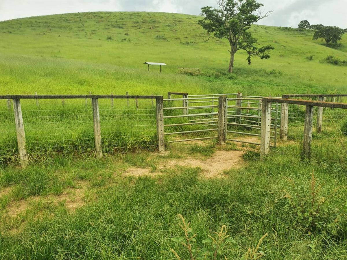 Fazenda, Centro, 3 Quartos, 0 Vaga