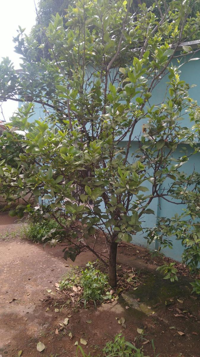 Casa, Novo Progresso, 3 Quartos, 3 Vagas