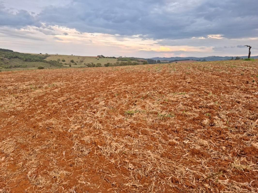Fazenda, Zona Rural, 0 Quarto, 0 Vaga