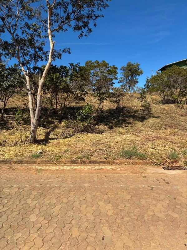 Lote, Residencial Visão, 0 Quarto, 6 Vagas