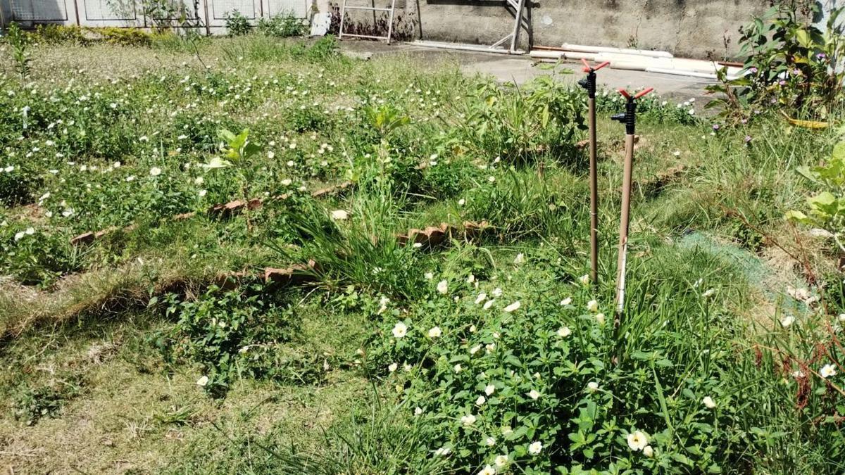 Apartamento, Horto, 3 Quartos, 2 Vagas