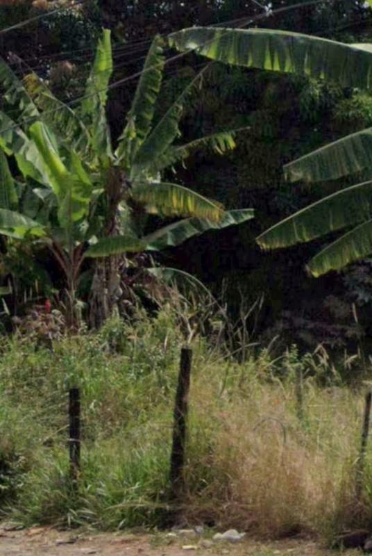 Lote, Chácara Cotia, 0 Quarto, 0 Vaga