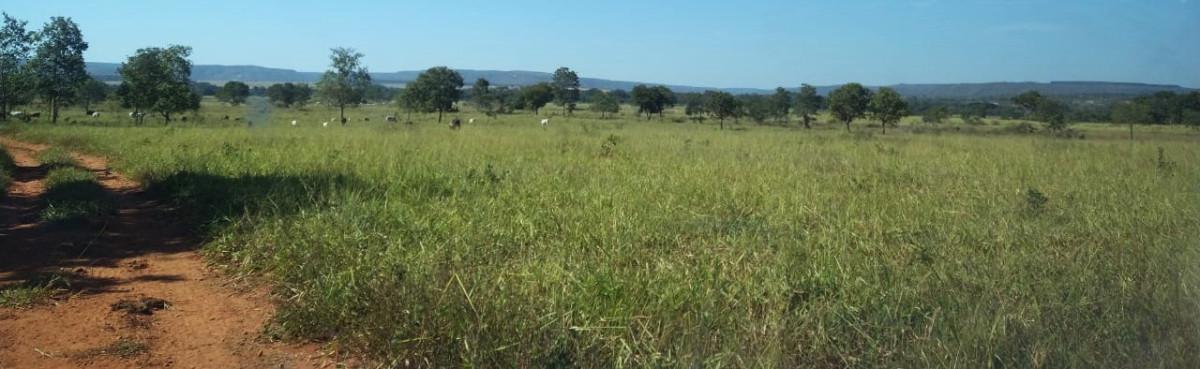 Fazenda, Zona Rural, 0 Quarto, 0 Vaga