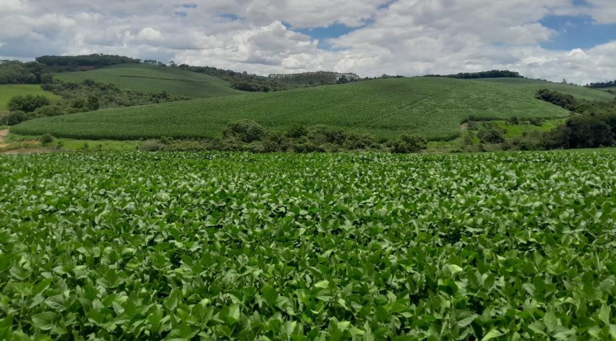 Fazenda, Zona Rural, 0 Quarto, 0 Vaga