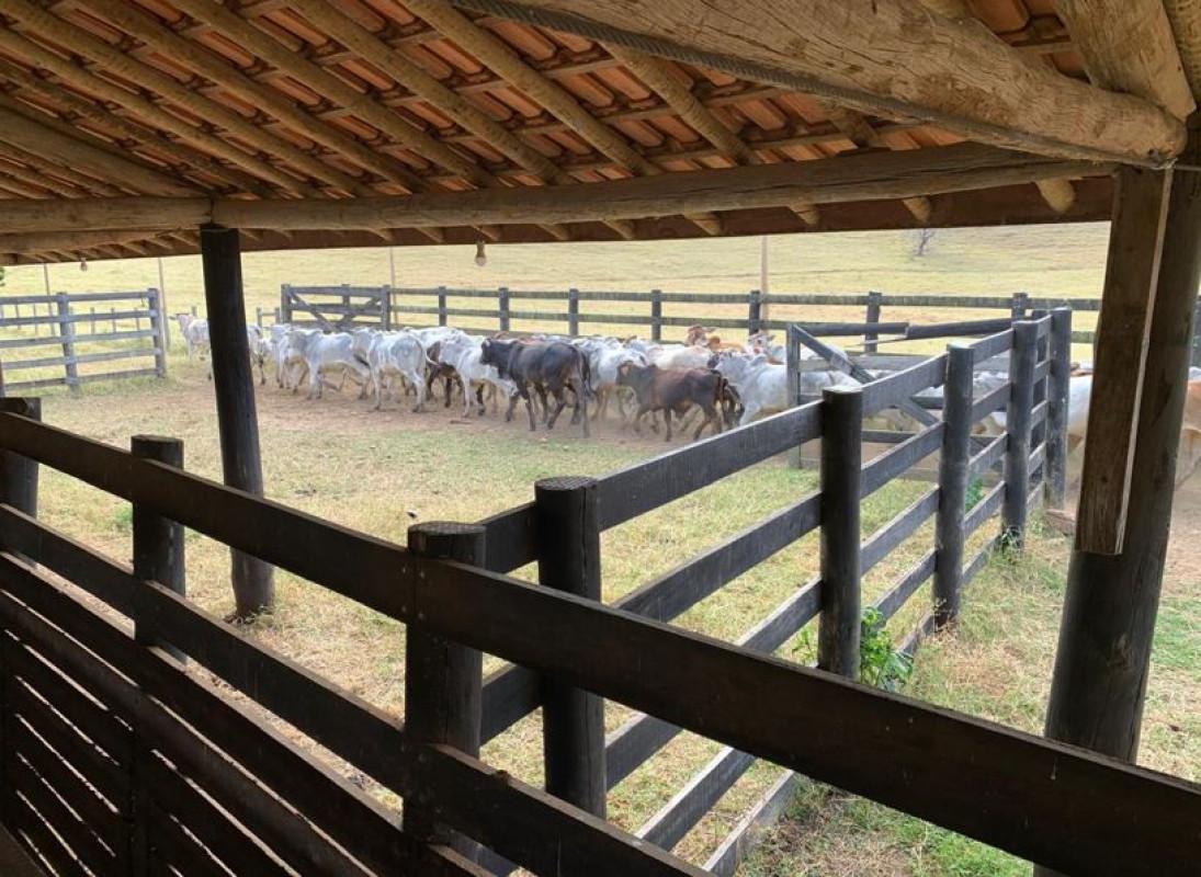 Fazenda, Zona Rural, 3 Quartos, 0 Vaga