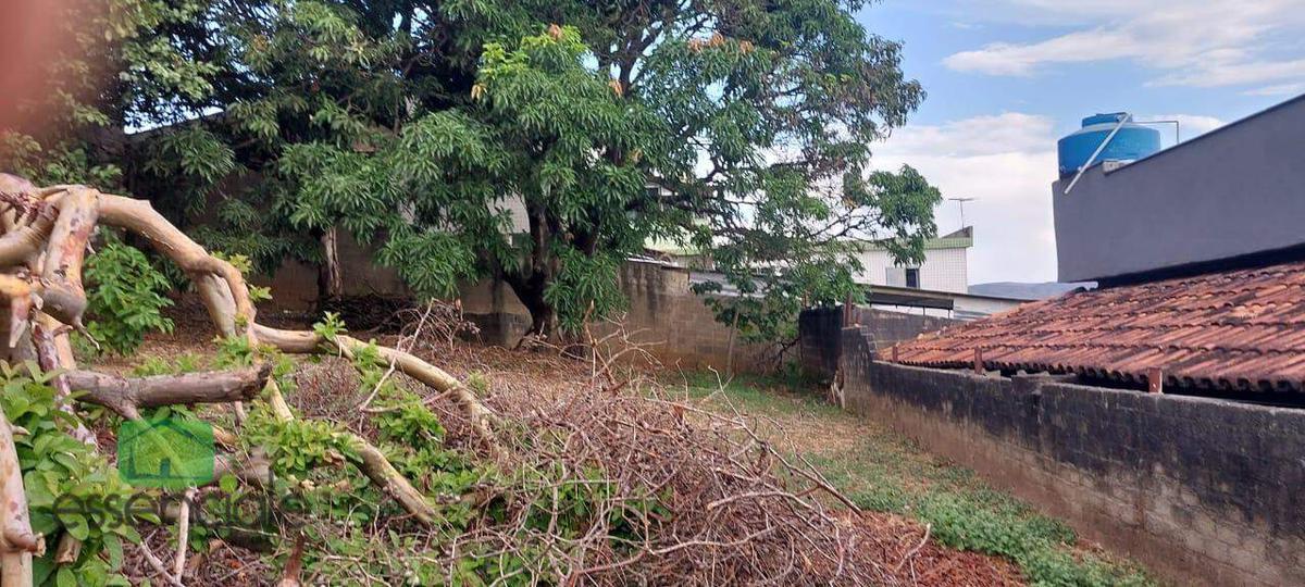 Lote, Milionários, 0 Quarto, 0 Vaga