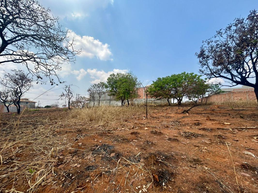 Lote, Vila dos Ipês, 0 Quarto, 0 Vaga