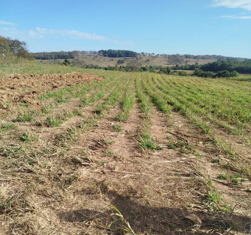 Fazenda, Zona Rural, 0 Quarto, 0 Vaga