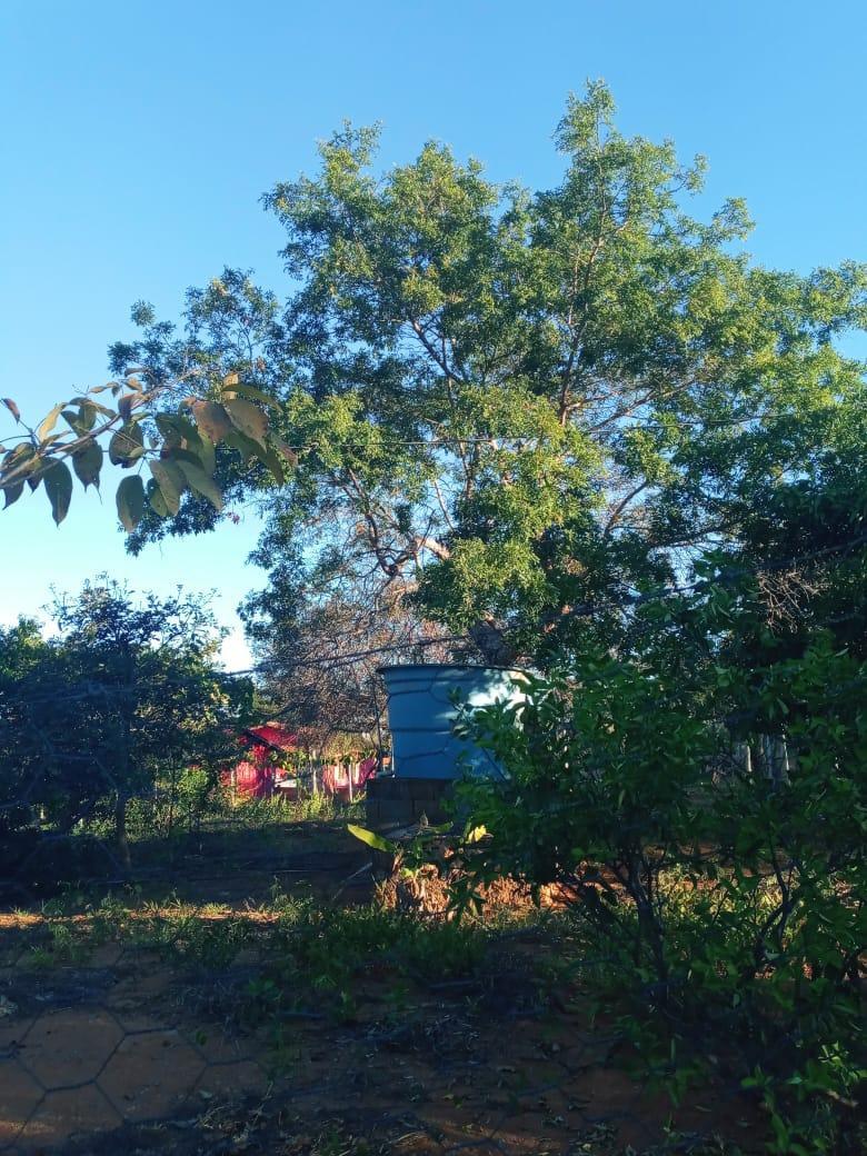 Lote, Zona Rural, 0 Quarto, 0 Vaga