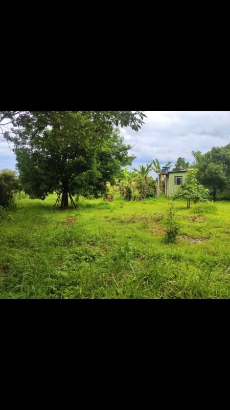 Fazenda, Dumaville, 3 Quartos, 10 Vagas