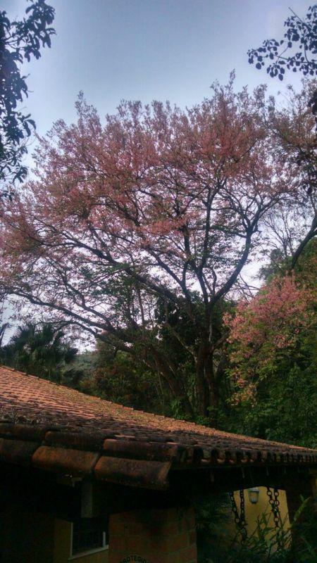 Fazenda, Rosário, 3 Quartos, 0 Vaga, 3 Suítes