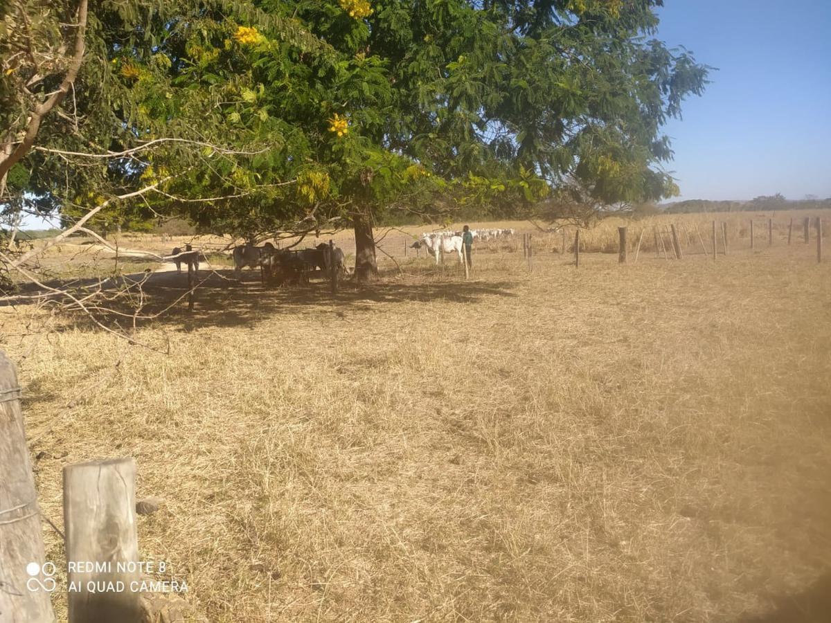 Fazenda, Zona Rural, 0 Quarto, 0 Vaga