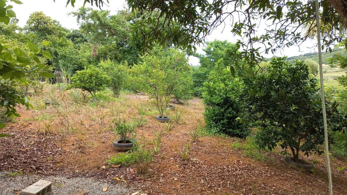 Fazenda, Zona Rural, 0 Quarto, 0 Vaga