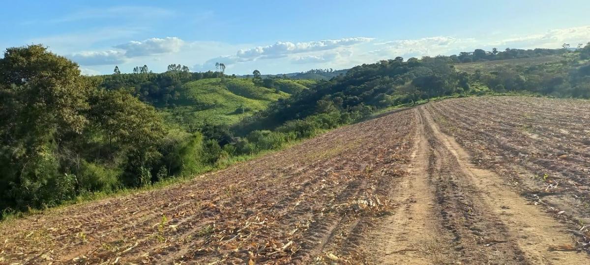 Fazenda, Zona Rural, 4 Quartos, 2 Vagas