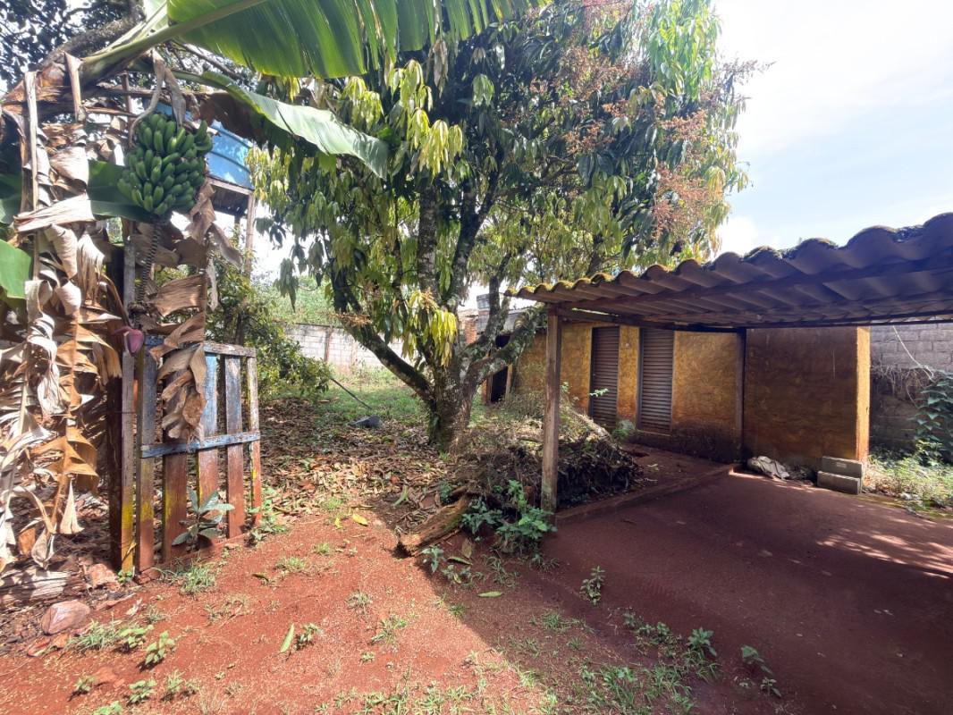 Lote, Lagoa do Miguelão, 0 Quarto, 0 Vaga