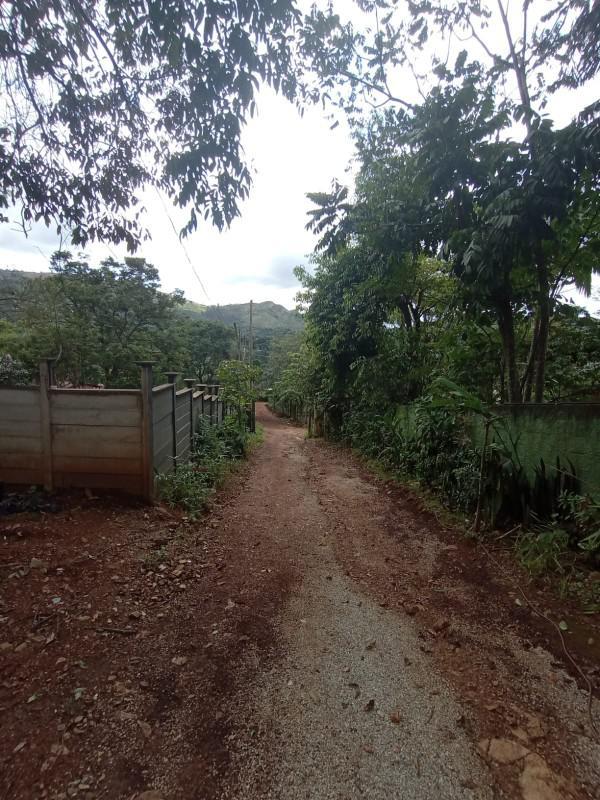 Fazenda, Macacos, 7 Quartos, 12 Vagas, 4 Suítes