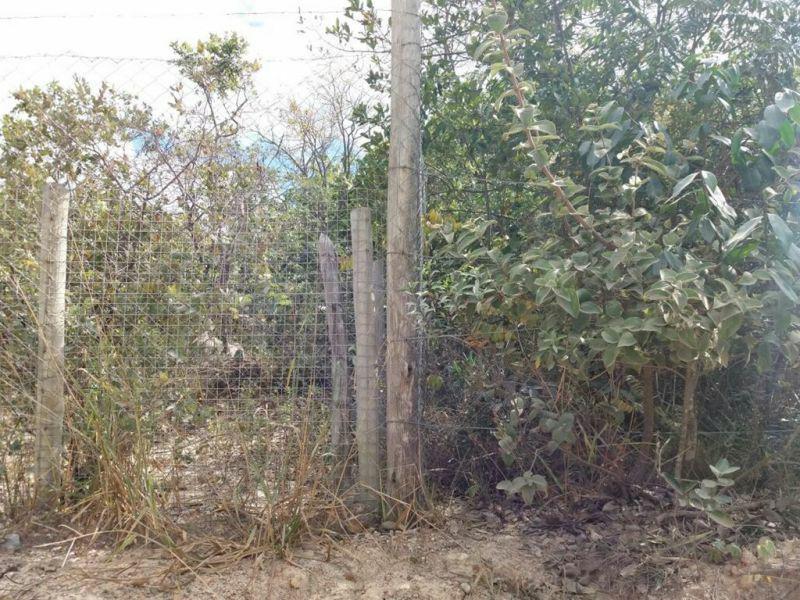 Lote, Ravena, 0 Quarto, 0 Vaga