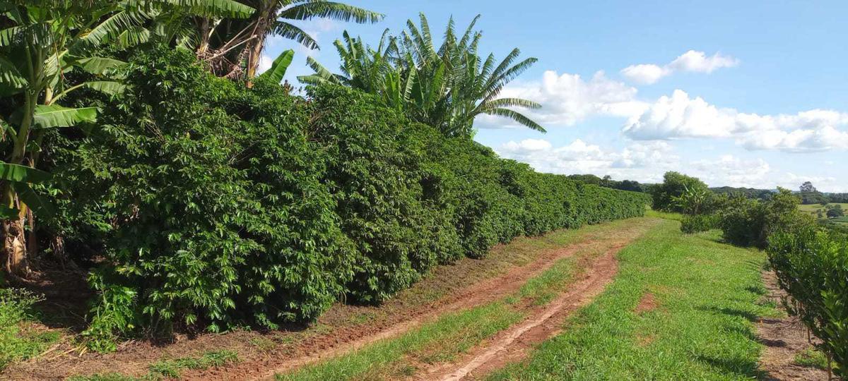 Fazenda, Zona Rural, 3 Quartos, 0 Vaga