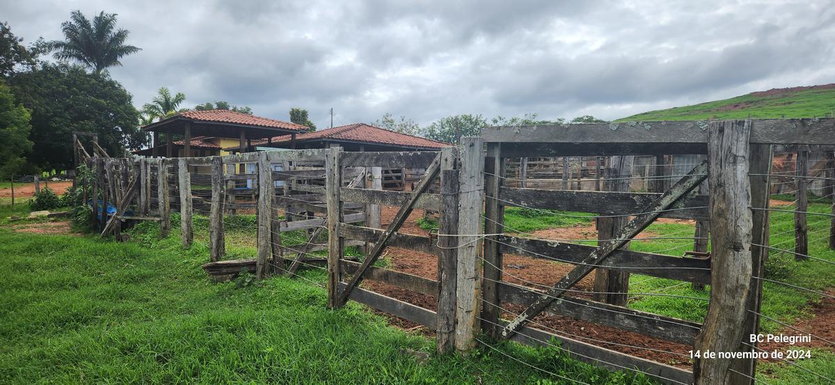 Fazenda, Centro, 3 Quartos, 0 Vaga