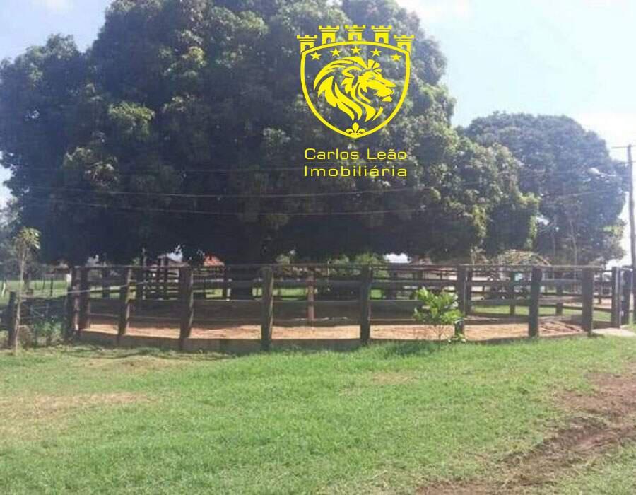Fazenda, Centro, 3 Quartos, 4 Vagas, 1 Suíte