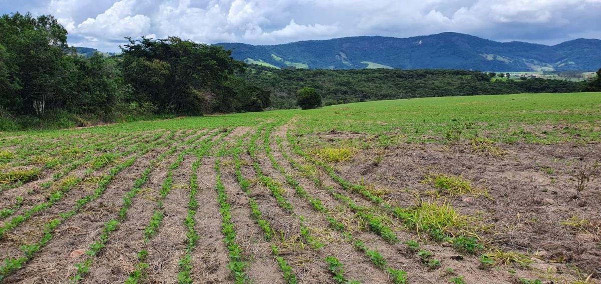 Fazenda, Centro, 1 Quarto, 1 Vaga, 1 Suíte