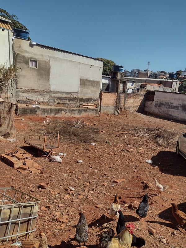 Lote, Universitário, 0 Quarto, 0 Vaga