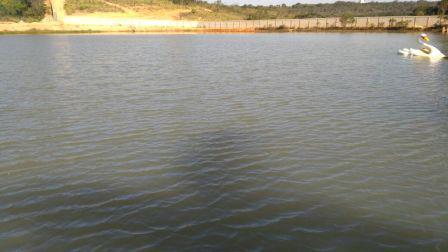 Lote, Acurui, 0 Quarto, 0 Vaga