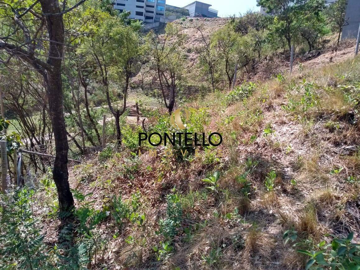 Lote, Estoril, 0 Quarto, 0 Vaga