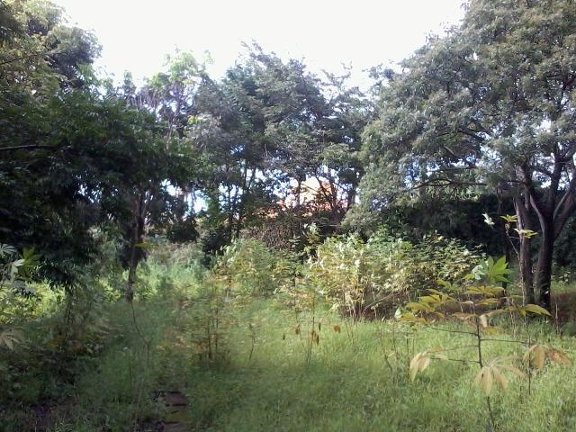 Lote, Enseada das Garças