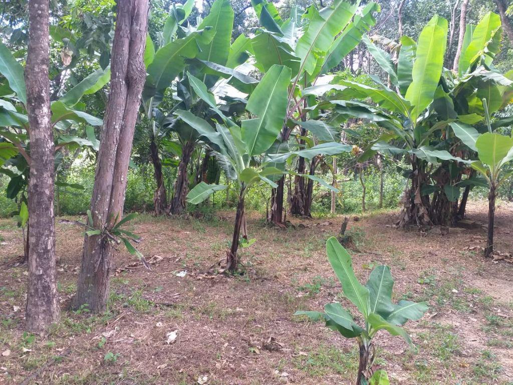 Fazenda, Ravena, 3 Quartos, 10 Vagas, 1 Suíte