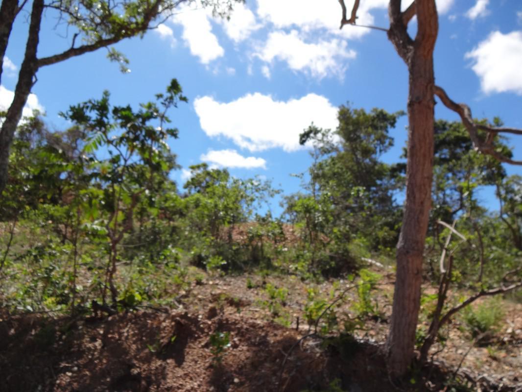 Fazenda, Zona Rural, 1 Quarto, 0 Vaga, 1 Suíte