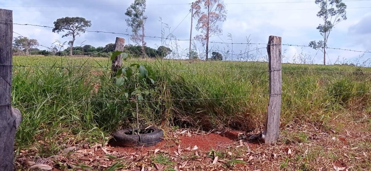 Fazenda, Zona Rural, 3 Quartos, 4 Vagas, 1 Suíte